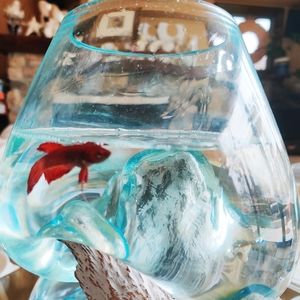 🐠 Fish Bowl/ Terrarium Hand Blown Glass